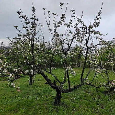 Weekendaya ヴィラ クラドヴォ