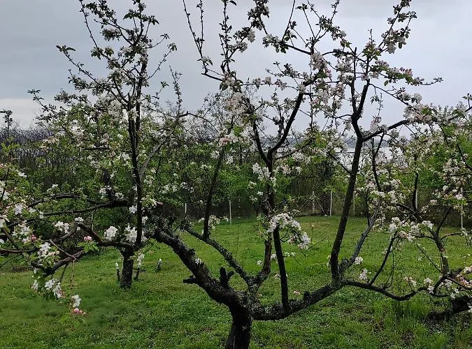 Weekendaya Villa Kladovo